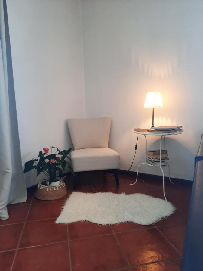 Casa das Camélias Aveiro Esterno foto